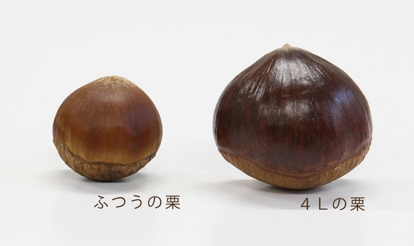 まるごと丹波栗入り蜜芋プリン3個入